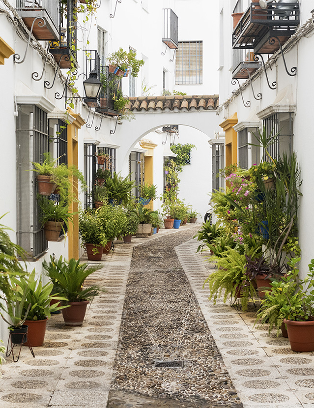 rentabilidad alojamiento turistico